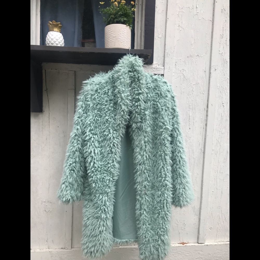 Beautiful seafoam green Wild Fable overcoat